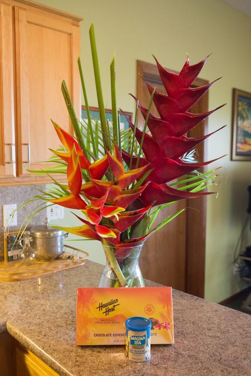 Aloha Aku Inn & Suites キヘイ 部屋 写真